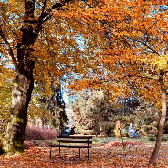 Foliage in Toscana: dove e quando vederlo