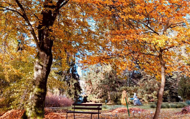 Foliage in Toscana: dove e quando vederlo
